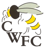 Chalfont Wasps F.C. logo.png