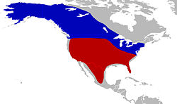 North American mammoth map.jpg