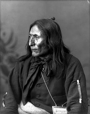 Chief Crowfoot.jpg