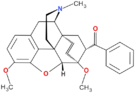 Chemical structure of Nepenthone.