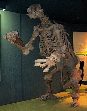 Eremotherium.jpg