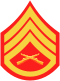 U.S. Marine Corps staff sergeant's arm badge