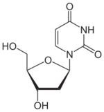 Skeletal formula of deoxyuridine