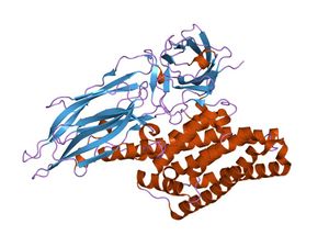 PDB 1ji6 EBI.jpg