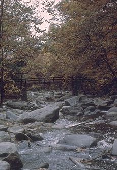 Rock-Creek-Park.jpg