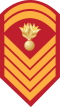 E-8 insignia