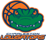 Charleston Lowgators logo