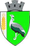 Coat of arms of Drochia