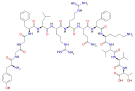 Chemical structure of Dynorphin B.