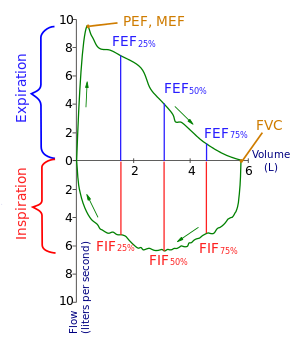 Flow-volume-loop.svg