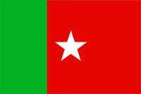 SDPI Flag.jpg