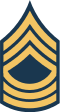 E-8 insignia