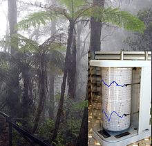 Cloud forest mount kinabalu-withHygrom.jpg