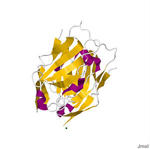 2BVE.pdb.jpg