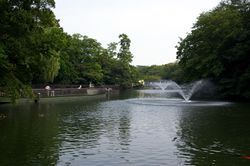 View of Inokashira Park