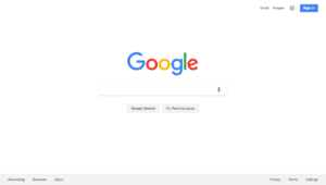 Google web search.png