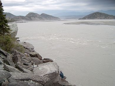 Chitina dipnet.jpg