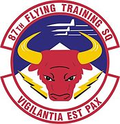 87th Flying Training Squadron.jpg