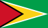 Flag of Guyana.svg