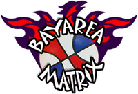 BayAreaMatrix.PNG