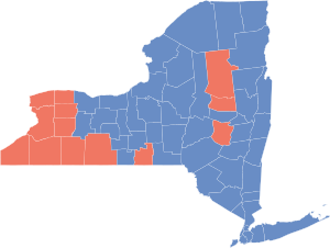 NewYorkGubernatorial2010.svg