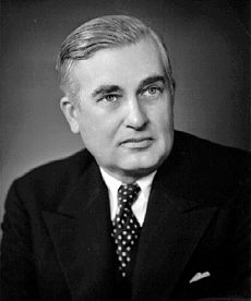 Middle-aged man with neatly combed hair, wearing a suit and tie.