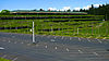  View of the Weyerhaeuser headquarters showing a parking lot in the foreground and the cascadign plants over its facade.