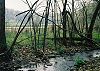 A small stream in the foreground lined with tangled small trees, in the background is a level are with standing water and fields edged by forest