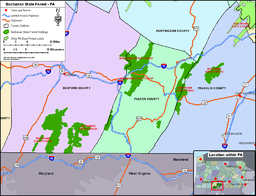 Buchanan State Forest