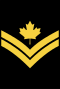 CDN-Navy-MS.svg