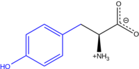 Skeletal formula of the L-isomer