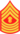 USMC-E9-MGyS.svg