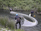 Seining for wild fish.jpg