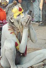 A sadhu in Pashupatinath Temple during Shivaratri