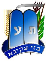 Bnei akiva logo.jpg