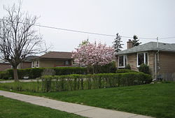 Rexdale houses.JPG