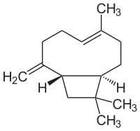 Beta-Caryophyllen.svg