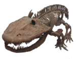 Eryops skeleton.png