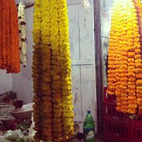 hanging garlands made of Marigold offered to the central deity