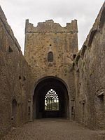 KilcooleyTower2.jpg