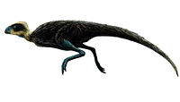 Pisanosaurus.jpg