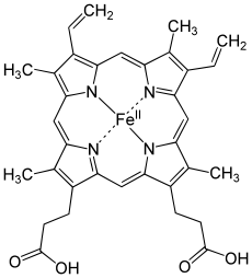 Heme group of hemoglobin