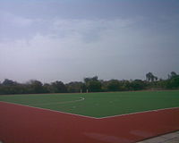 synthetic turf in Anna stadium