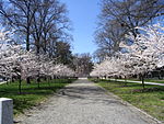 Princeton Battle Monument Mall.jpg