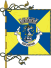 Flag of Esposende