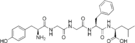 Chemical structure of Leu-enkephalin.