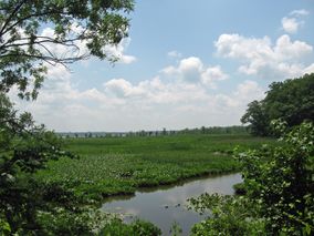 Mason Neck NWR.JPG