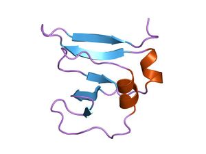 PDB 1vcc EBI.jpg