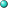 Turquoise pog.svg