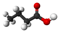 Space filling model of butyric acid